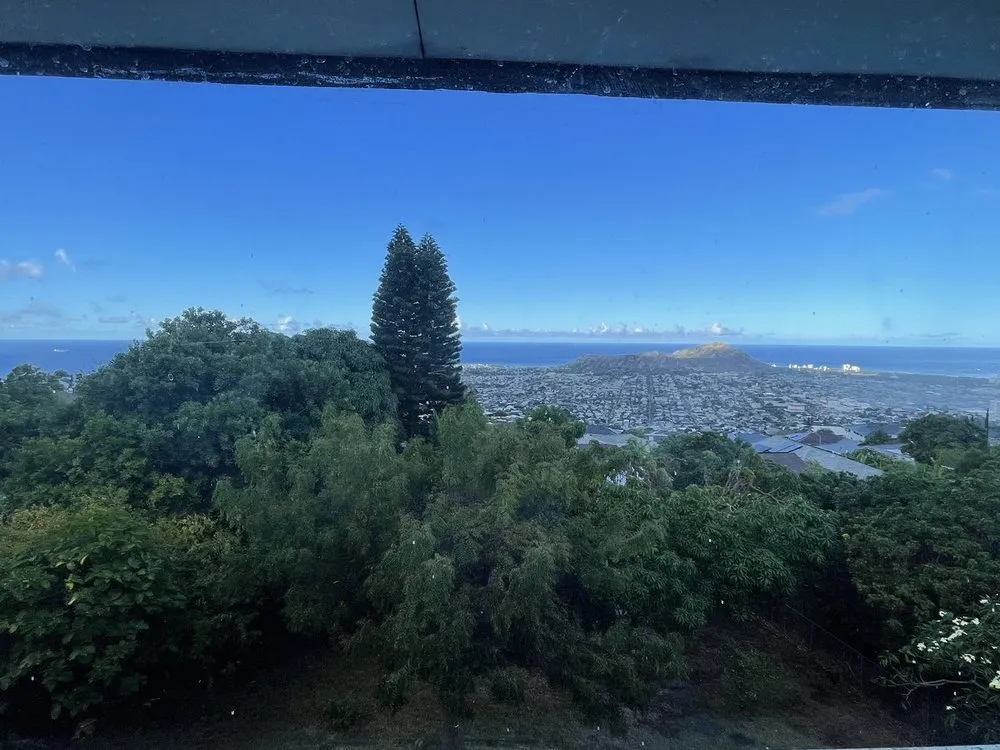 Trusted lawn care service for residential properties in Haleiwa, HI by Island Palms Hawaii