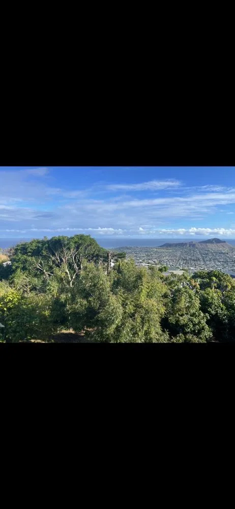 Trusted lawn mowing service in Haleiwa, HI - Island Palms Hawaii