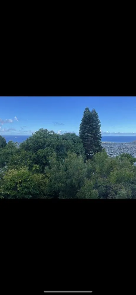 Expert landscaping services experts serving Haleiwa, HI - Island Palms Hawaii