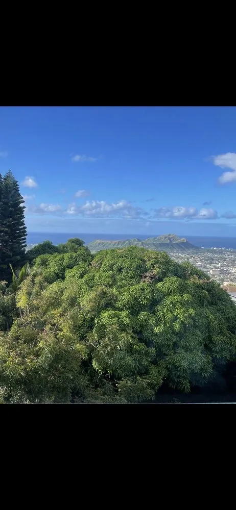 Expert lawn mowing service experts serving Haleiwa, HI - Island Palms Hawaii