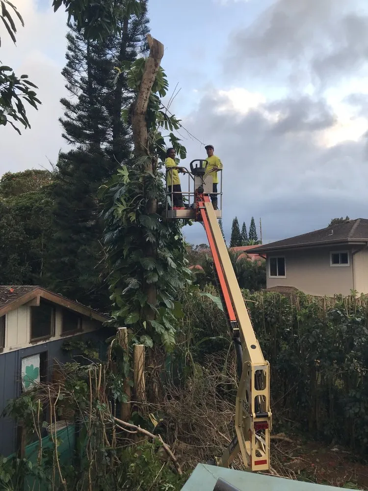 Local garden landscaping in Kilauea, HI by Island Roots Tree Trimming Kauai