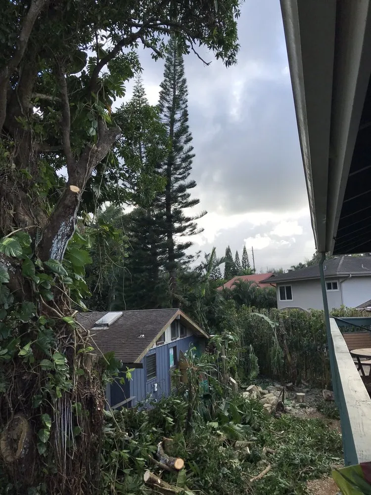 Top-rated yard maintenance near you across Kilauea, HI - Island Roots Tree Trimming Kauai