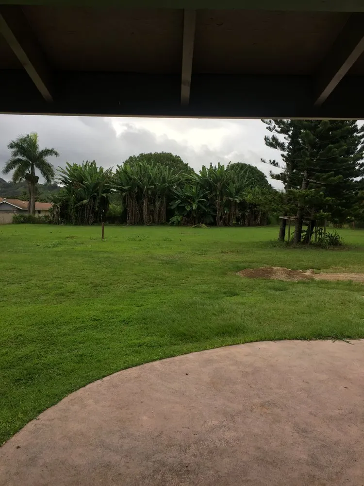 Reliable landscaping services experts serving Kilauea, HI - Island Roots Tree Trimming Kauai
