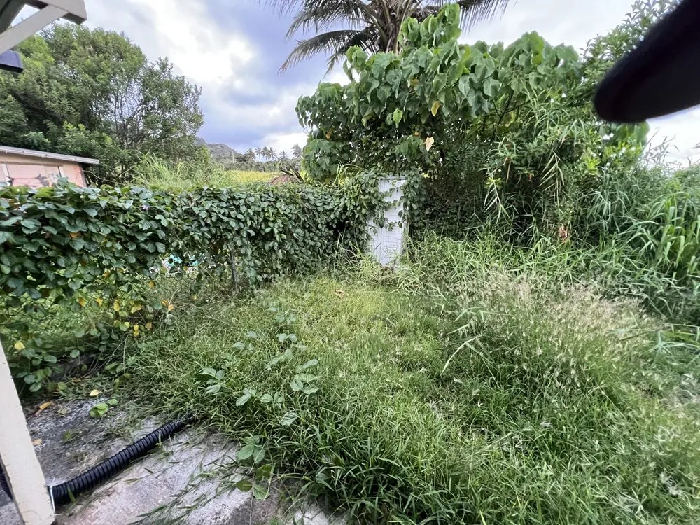 Professional yard maintenance with custom design across Laie, HI - Island Scape North Shore