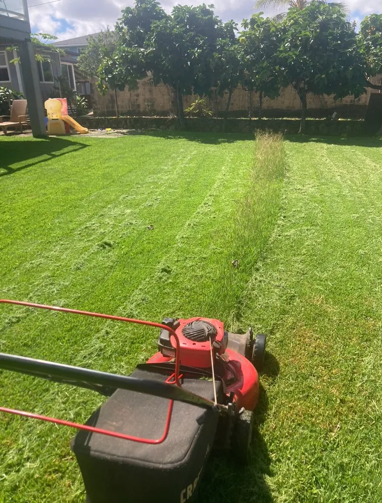 Reliable residential landscaping in Laie, HI by Island Scape North Shore