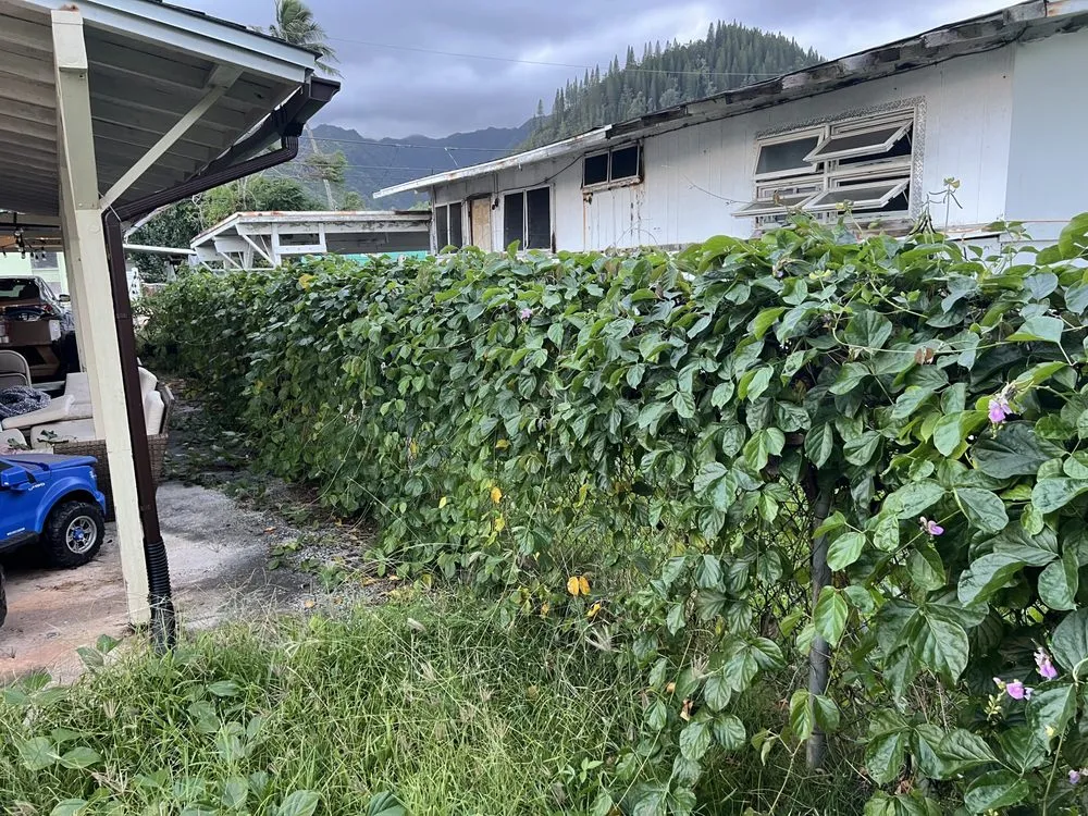 Local landscape design with custom design in Laie, HI by Island Scape North Shore