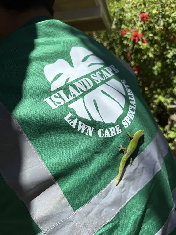 Reliable yard maintenance in Laie, HI by Island Scape North Shore