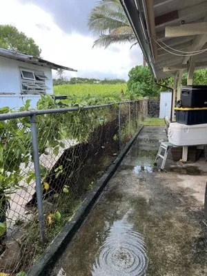 Island Scape North Shore