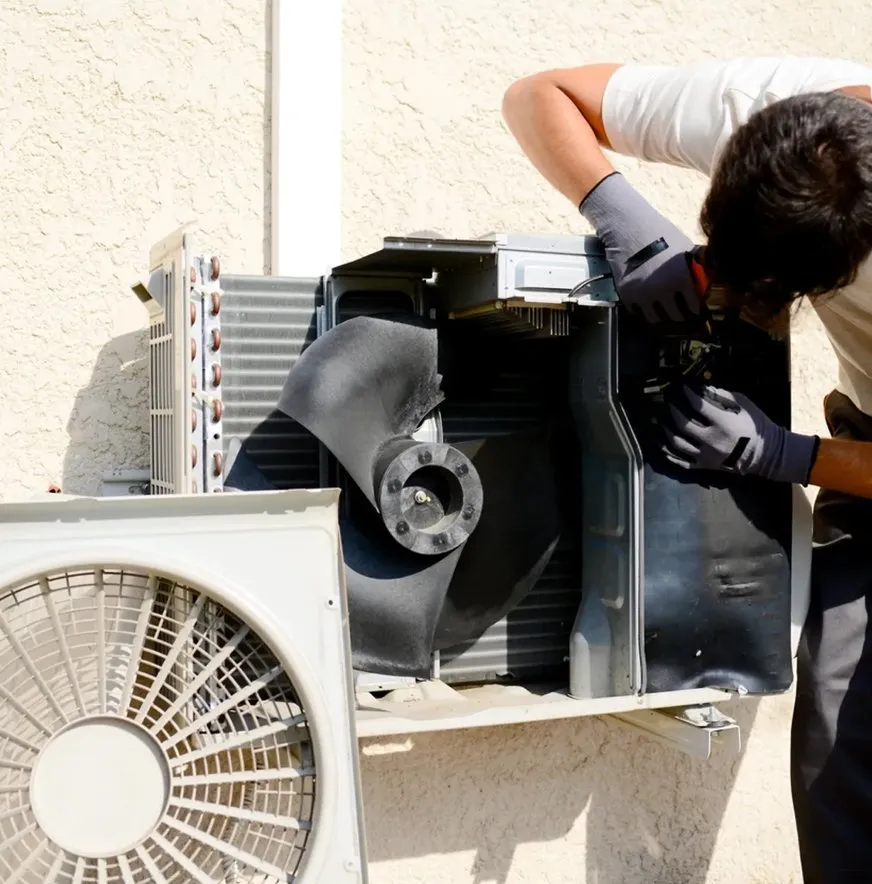 Top-rated landscaping services for outdoor upgrades across Kingsland, GA - Island Service Group