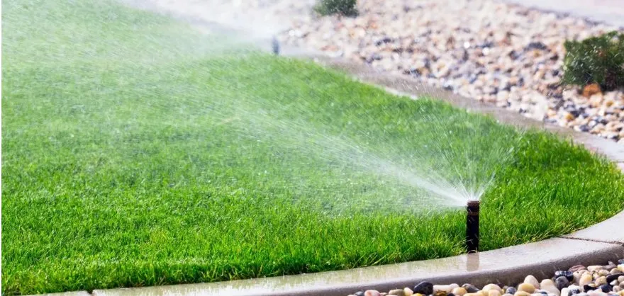 Top-rated lawn mowing service experts serving Kingsland, GA - Island Service Group