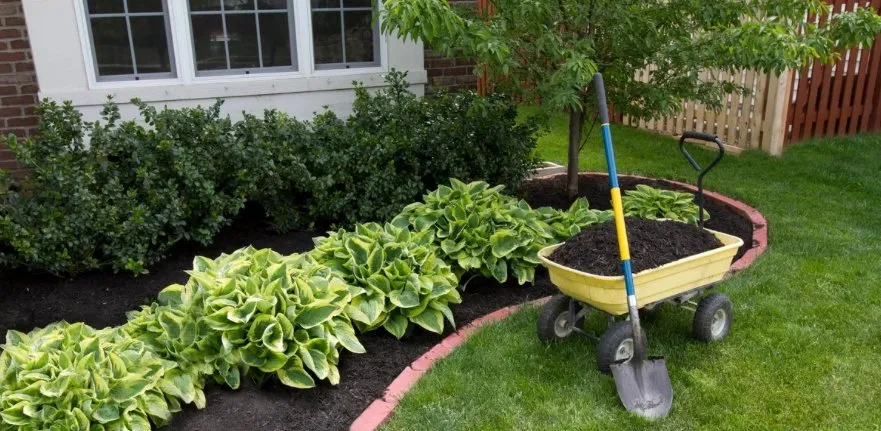 Local landscape design in Kingsland, GA - Island Service Group