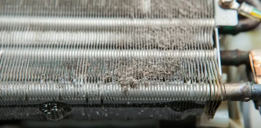 Custom residential landscaping for homes in Kingsland, GA by Island Service Group