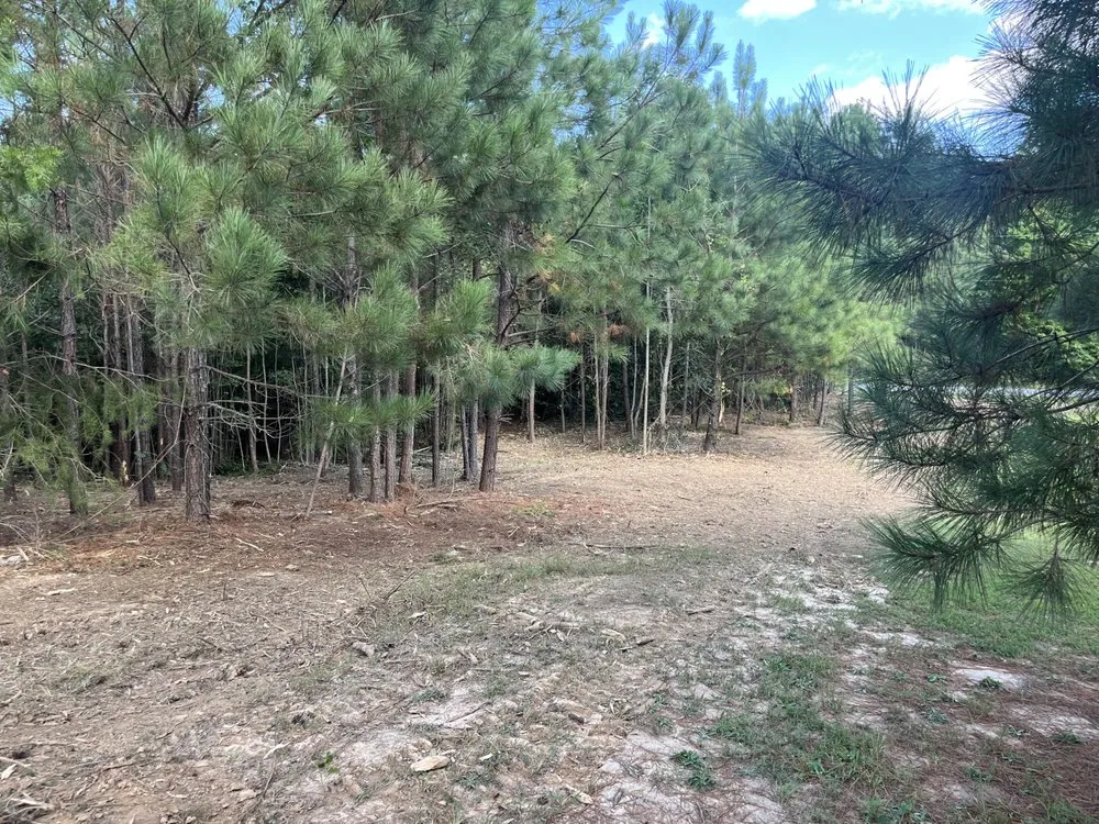 Custom landscaping services near you in Currituck, NC by Island Skid Company