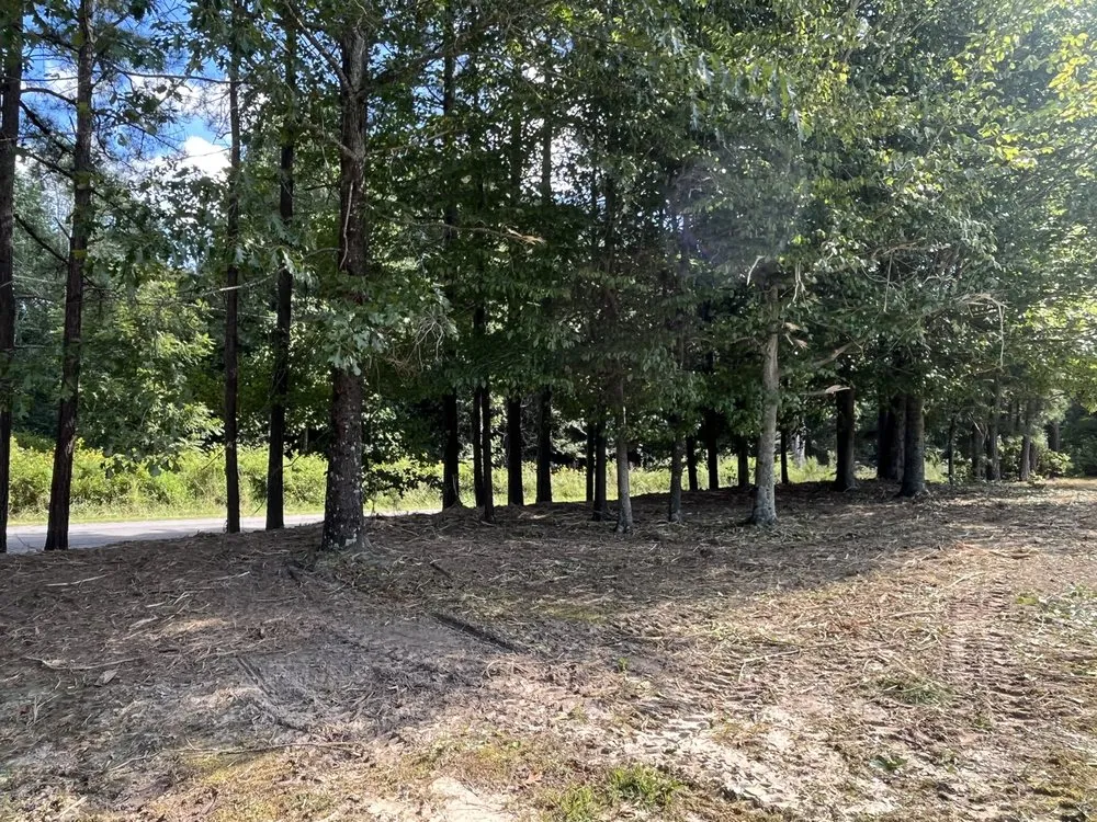 Top-rated landscape installation for outdoor upgrades across Currituck, NC - Island Skid Company