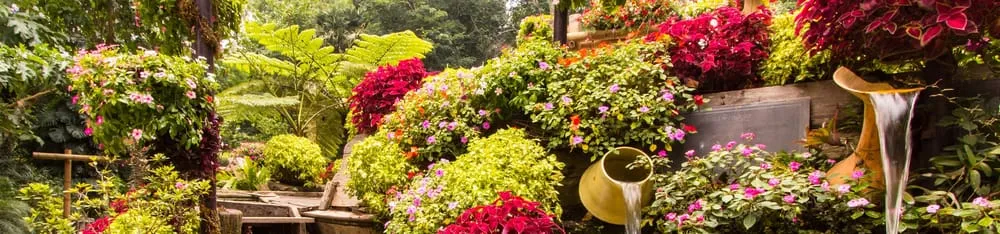 Trusted lawn mowing service in Coupeville, WA - Island Spa & Garden Service