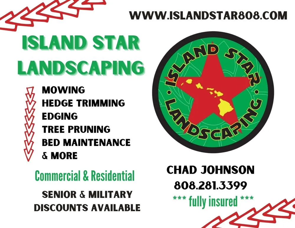 Reliable yard cleanup service in Honolulu, HI by Island Star Landscaping