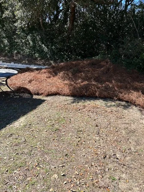 Local yard maintenance for year-round maintenance across Swansboro, NC - Island Time Lawn Care