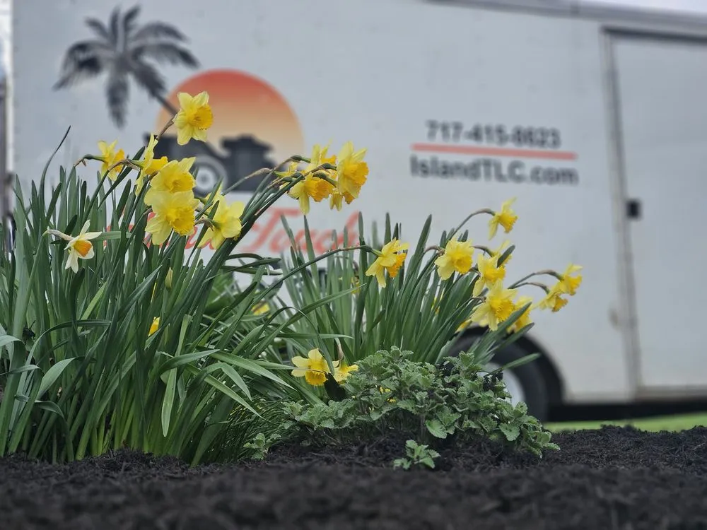 Trusted outdoor landscaping experts serving Middletown, PA - Island Touch Lawn Care