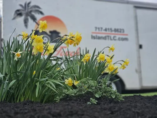 Island Touch Lawn Care