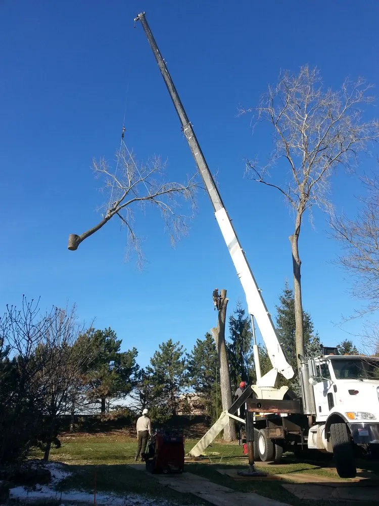 Custom residential landscaping for year-round maintenance across Waipahu, HI - Island Tree and Landscape Services