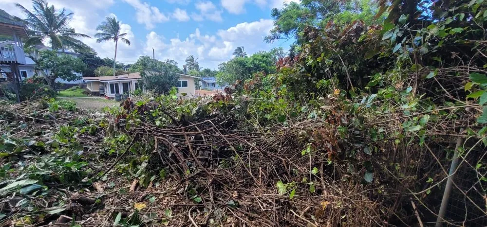 Expert lawn mowing service for residential properties across Waipahu, HI - Island Tree and Landscape Services