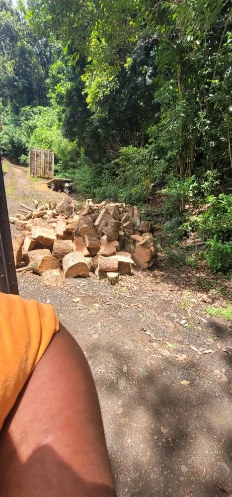 Local outdoor landscaping for beautiful yards in Waipahu, HI by Island Tree and Landscape Services