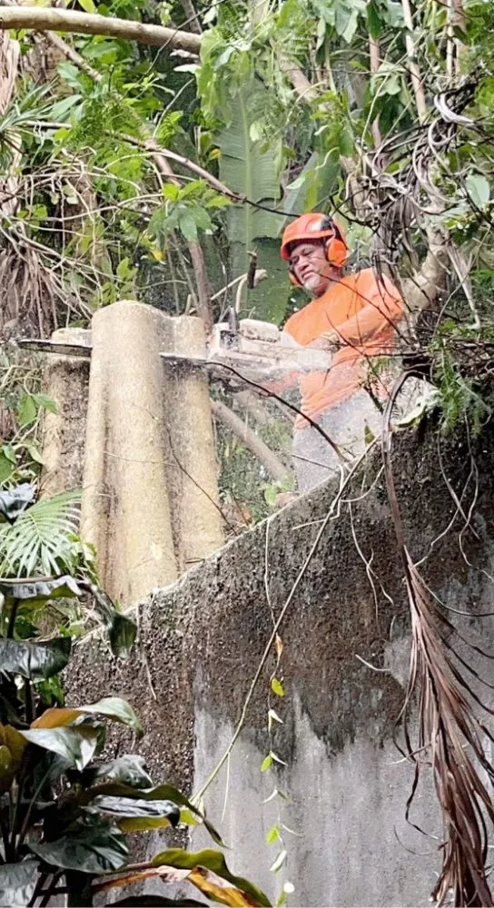 Local yard maintenance for outdoor upgrades in Waipahu, HI by Island Tree and Landscape Services
