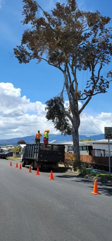 Top-rated garden landscaping for homes across Waipahu, HI - Island Tree and Landscape Services