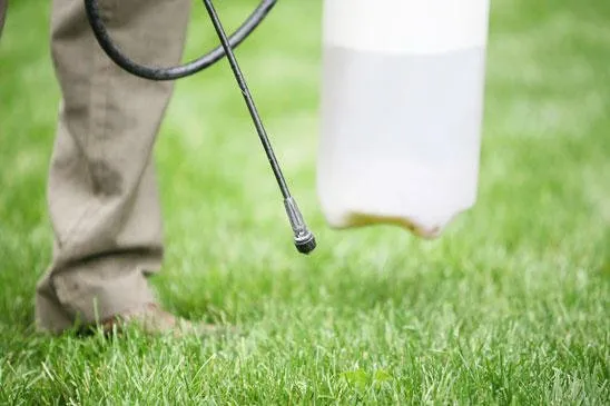 Affordable garden landscaping for outdoor upgrades across Clinton, WA - Island Tree Service