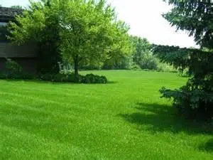 Local yard maintenance in Clinton, WA by Island Tree Service