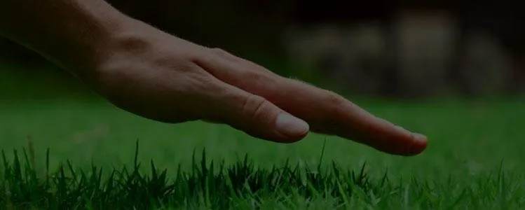 Top-rated garden landscaping in Clinton, WA by Island Tree Service