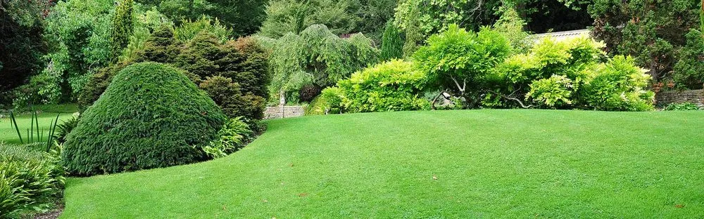 Trusted garden landscaping in Clinton, WA by Island Tree Service