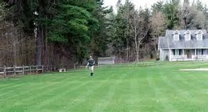 Custom landscaping services for beautiful yards across Clinton, WA - Island Tree Service