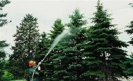 Professional lawn care service in Clinton, WA - Island Tree Service