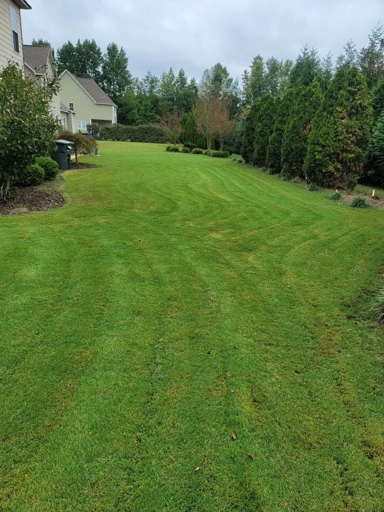 Local landscape installation for year-round maintenance across Fayetteville, NC - Island Vybez Lawn Care & Pressure Washing