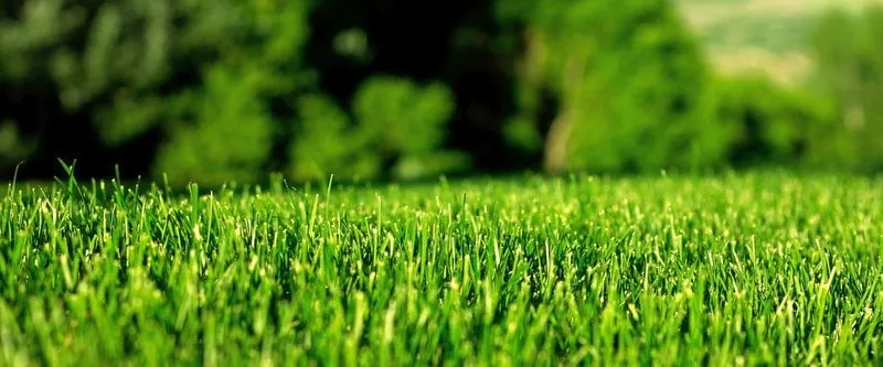 Trusted residential landscaping with custom design in Royal Palm Beach, FL by Islander Lawn Maintenance