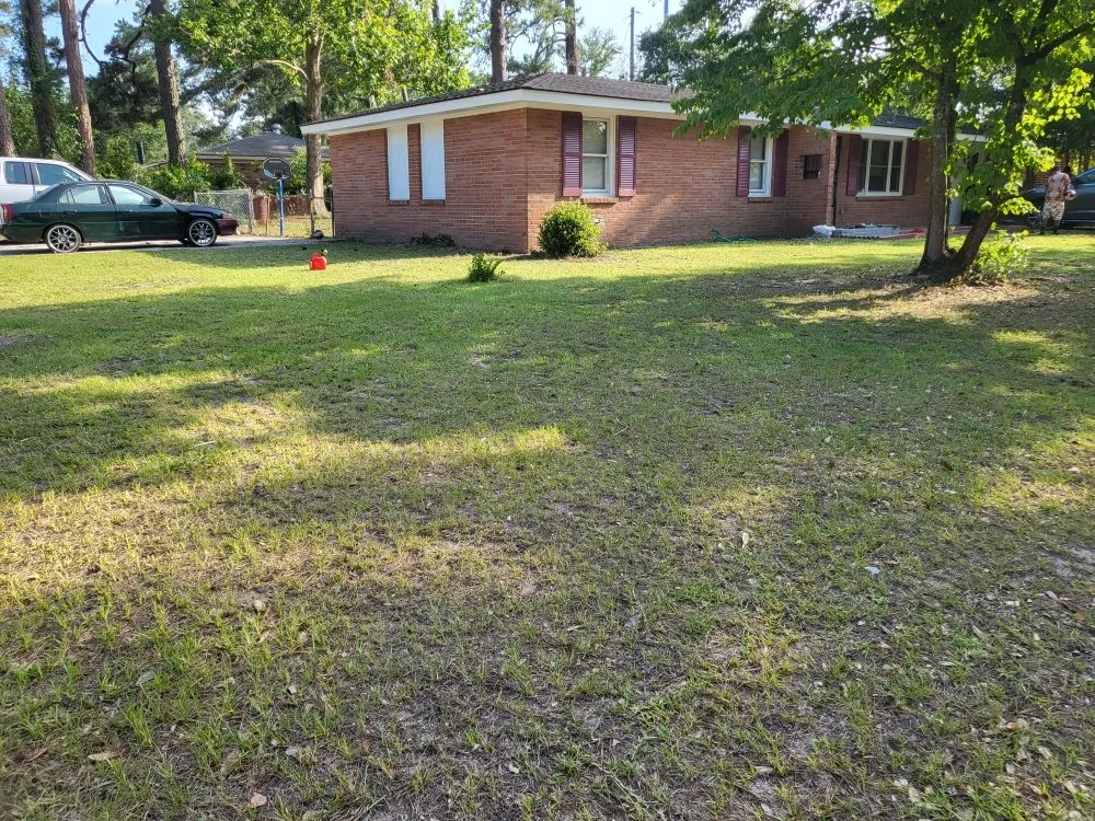 Affordable landscape installation for homes across Savannah, GA - Islanders Lawncare