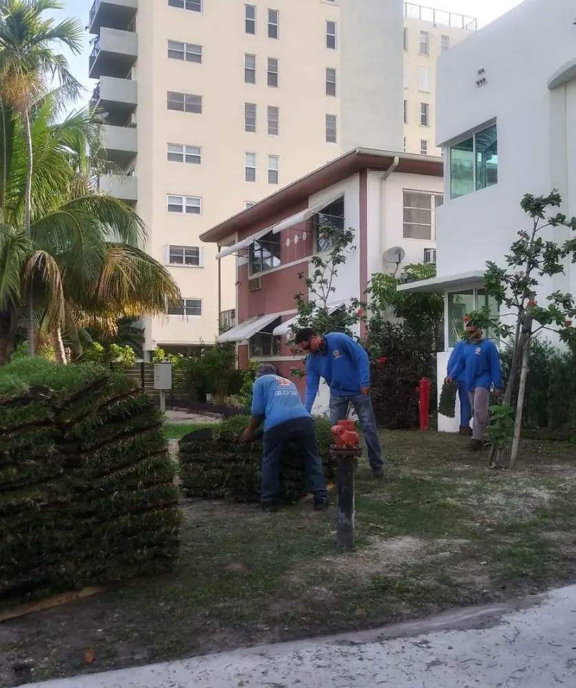 Custom yard maintenance experts serving Miami, FL - Island's Lawn & Garden