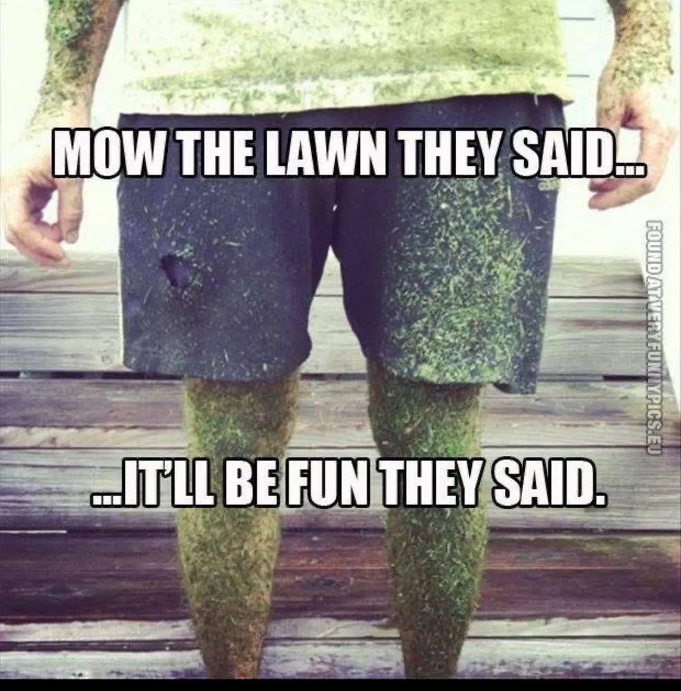 Custom landscaping services in Miami, FL - Island's Lawn & Garden