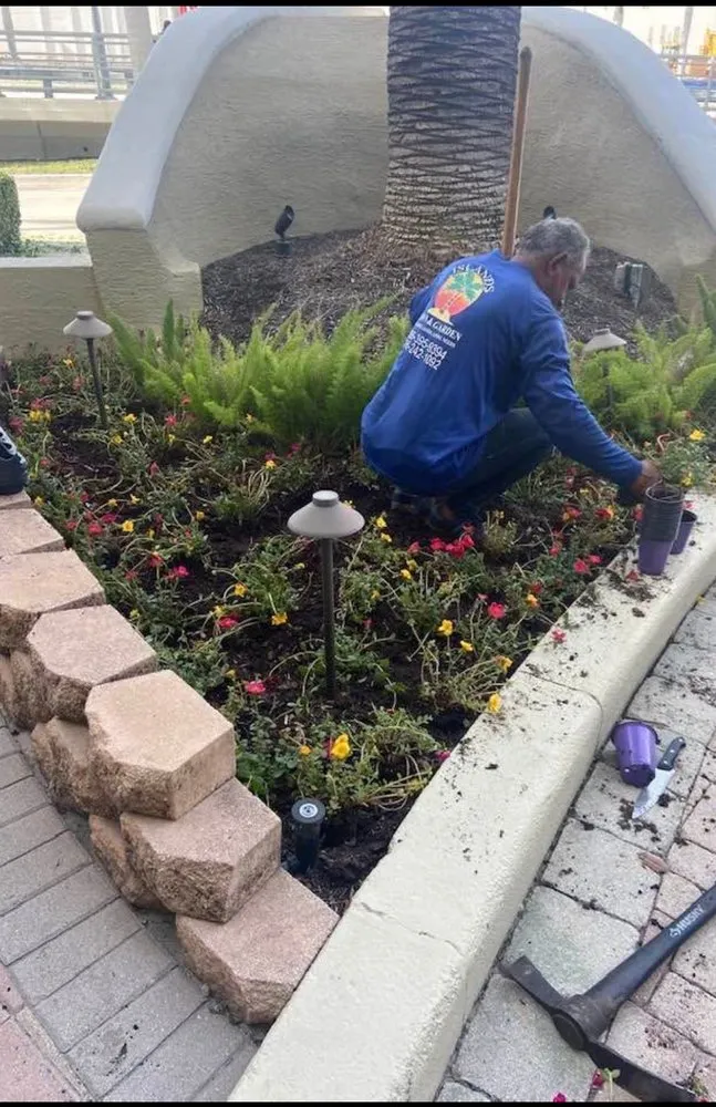 Affordable lawn care service experts serving Miami, FL - Island's Lawn & Garden