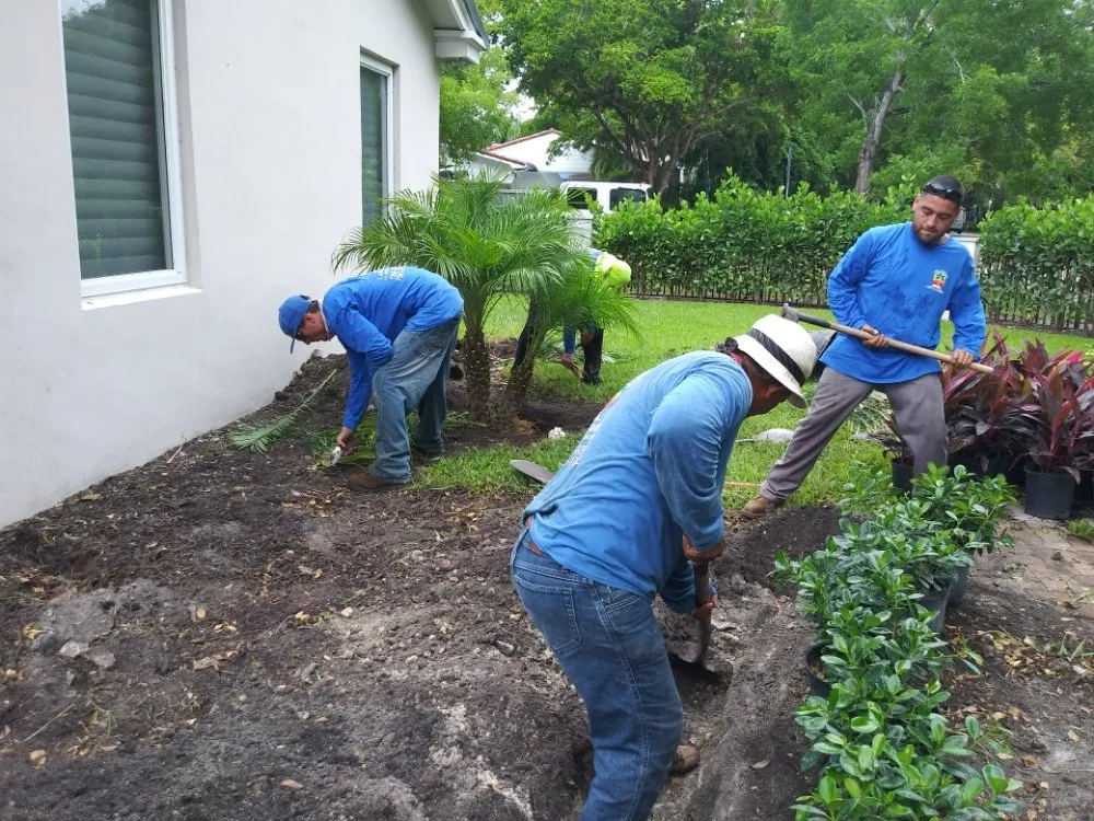 Affordable landscape installation with custom design in Miami, FL by Island's Lawn & Garden