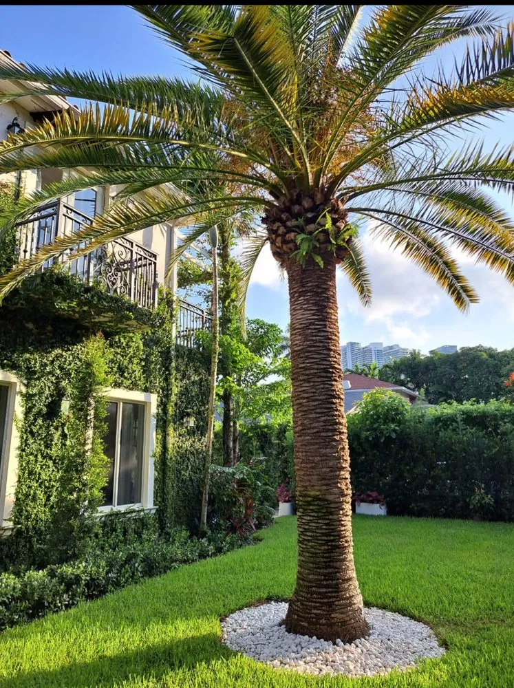 Trusted landscaping services near you across Miami, FL - Island's Lawn & Garden