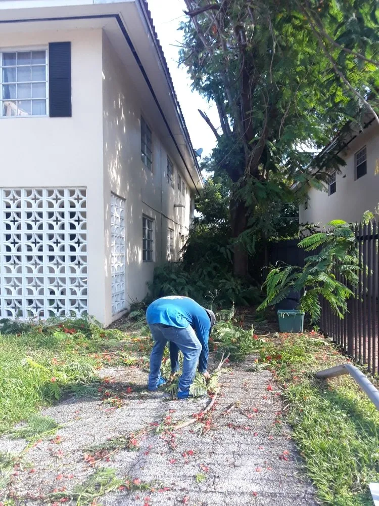 Affordable lawn mowing service for beautiful yards in Miami, FL by Island's Lawn & Garden