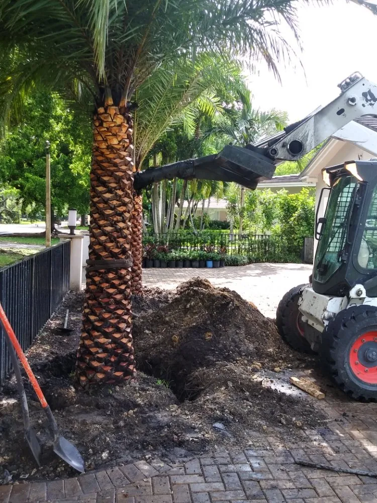 Trusted yard maintenance for year-round maintenance in Miami, FL by Island's Lawn & Garden