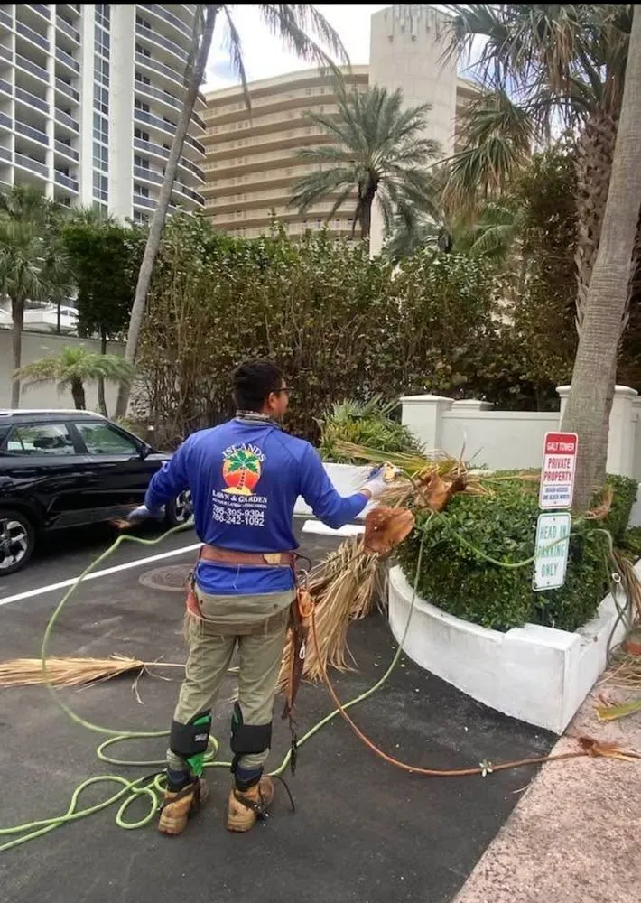 Custom lawn care service for outdoor upgrades in Miami, FL by Island's Lawn & Garden