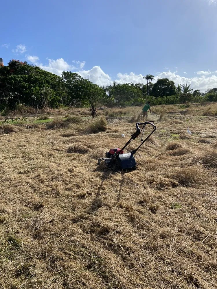 Trusted residential landscaping in Kaneohe, HI by ISLANDSCAPE