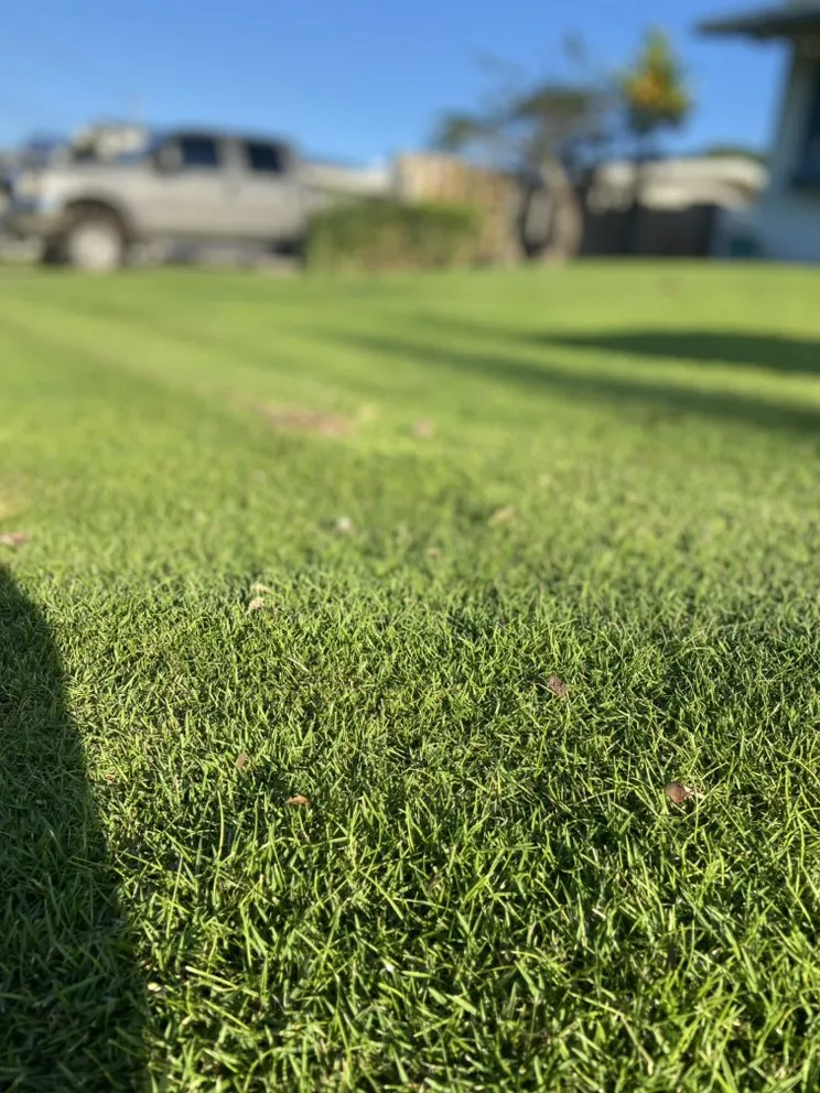 Affordable residential landscaping in Kaneohe, HI - ISLANDSCAPE