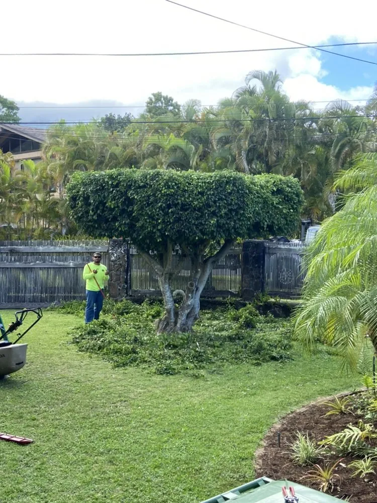 Custom residential landscaping experts serving Kaneohe, HI - ISLANDSCAPE