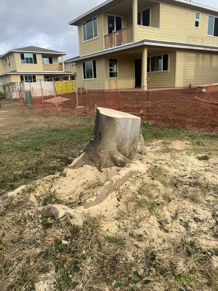 Affordable lawn mowing service experts serving Ewa Beach, HI - Islandwide Landscaping