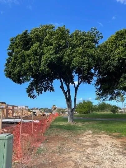 Local yard cleanup service near you across Ewa Beach, HI - Islandwide Landscaping